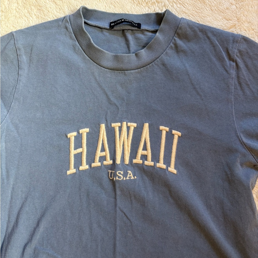 brandy melville Hawaii tee - Picture 2 of 4